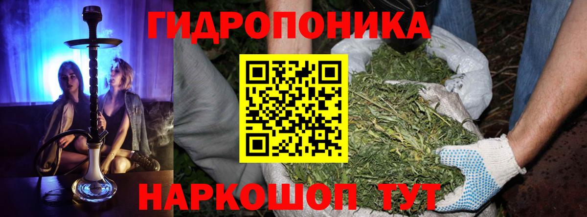 Шишки марихуана гибрид Хабаровск